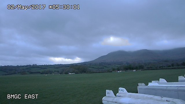 time-lapse frame, pre-dawn sheep raid webcam