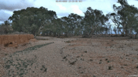 CreekCam West animated GIF