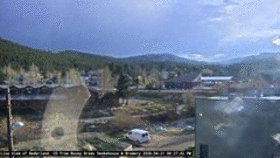 Busey Brews Neder... animated GIF