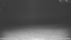Mt Quandong Camera animated GIF