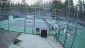 ZCTC cts 3 4 animated GIF