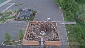 Sandpoint Online ... animated GIF