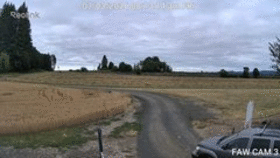 FAW CAM 3 animated GIF
