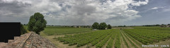 view from Boncellino Nord on 2025-06-04