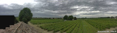 view from Boncellino Nord on 2025-07-25