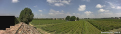 view from Boncellino Nord on 2025-08-22