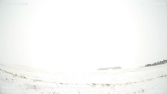 view from Carstairs Sky Cam on 2026-04-16