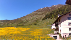 view from Skilift Realp on 2025-05-30