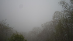 view from Sterchi Lodge on 2025-05-09