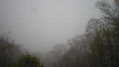 view from Sterchi Lodge on 2025-05-09