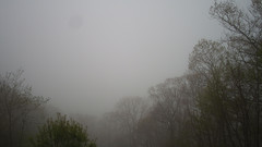 view from Sterchi Lodge on 2025-05-09