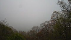 view from Sterchi Lodge on 2025-05-09