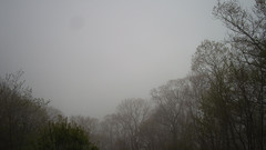 view from Sterchi Lodge on 2025-05-09
