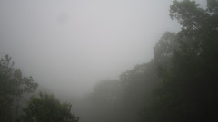 view from Sterchi Lodge on 2025-06-07