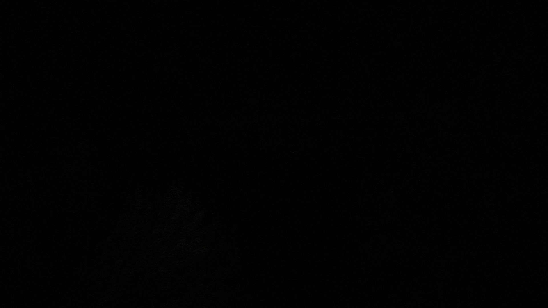 time-lapse frame, Sterchi Lodge webcam