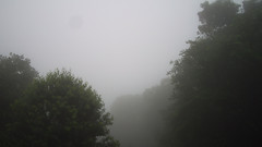 view from Sterchi Lodge on 2026-07-11
