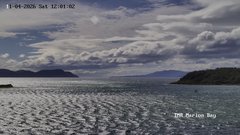 view from TMR - Marion Bay on 2026-04-11