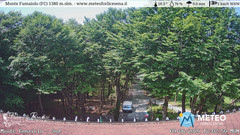 view from Monte Fumaiolo on 2025-06-09