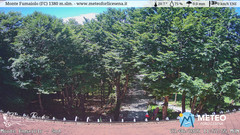 view from Monte Fumaiolo on 2025-06-23