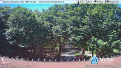 view from Monte Fumaiolo on 2025-06-30