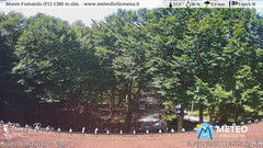 view from Monte Fumaiolo on 2025-08-04