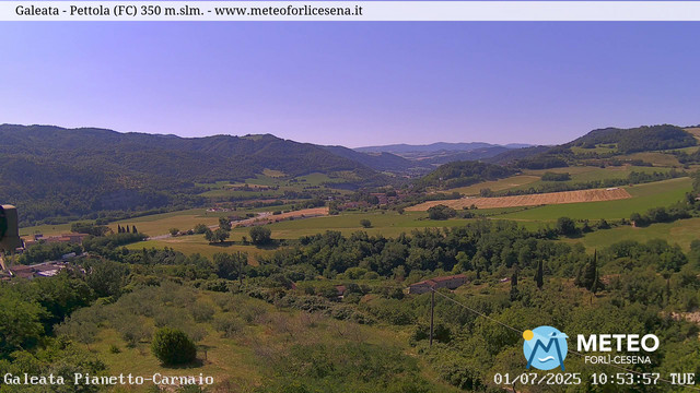 Galeata animated GIF