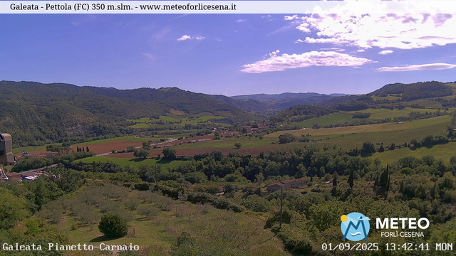 Galeata animated GIF