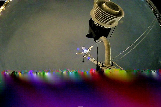 time-lapse frame, Oss. Met. di Gabicce Mare  Puntamento Zenith webcam