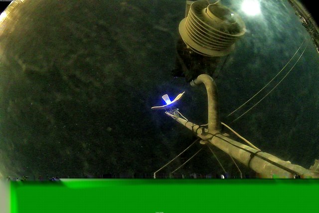 time-lapse frame, Oss. Met. di Gabicce Mare  Puntamento Zenith webcam