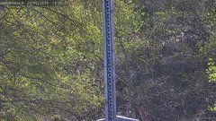 view from Alpe di Mera - Nivometro on 2026-05-20