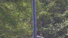 view from Alpe di Mera - Nivometro on 2026-05-26