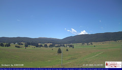 view from Pian Cansiglio - Agriturismo Malga Filippon on 2025-07-17