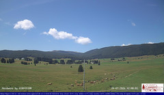 view from Pian Cansiglio - Agriturismo Malga Filippon on 2026-07-20