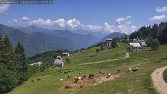 view from Alpe di Mera - Mera bassa on 2025-06-24