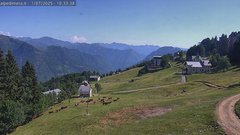 view from Alpe di Mera - Mera bassa on 2025-07-01