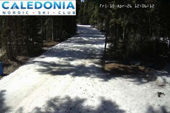 view from CNSC_4: Picadilly Access on 2026-04-10