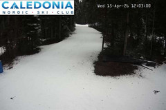 view from CNSC_4: Picadilly Access on 2026-04-15