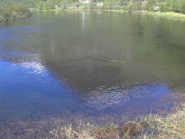 time-lapse frame, Borgundseelva webcam
