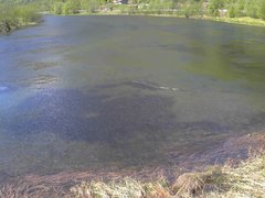 view from Borgundseelva on 2025-05-15