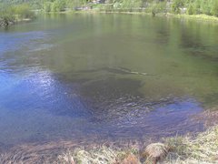 view from Borgundseelva on 2025-05-16