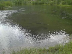 view from Borgundseelva on 2025-06-01