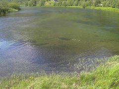 view from Borgundseelva on 2025-06-21