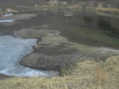 view from Borgundseelva on 2026-04-09