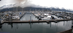 view from Seward Harbor on 2025-05-25