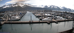 view from Seward Harbor on 2025-06-21