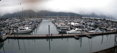 view from Seward Harbor on 2025-06-25