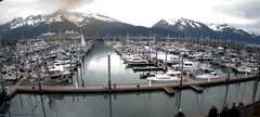 view from Seward Harbor on 2025-06-29