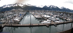 view from Seward Harbor on 2025-06-29