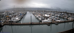 view from Seward Harbor on 2025-07-09
