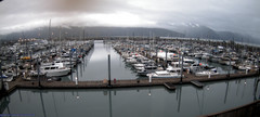view from Seward Harbor on 2025-07-09